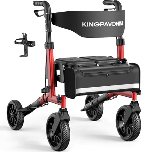 KingPavonini