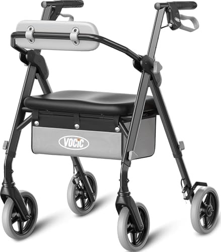Standard rollator walker with gray frame